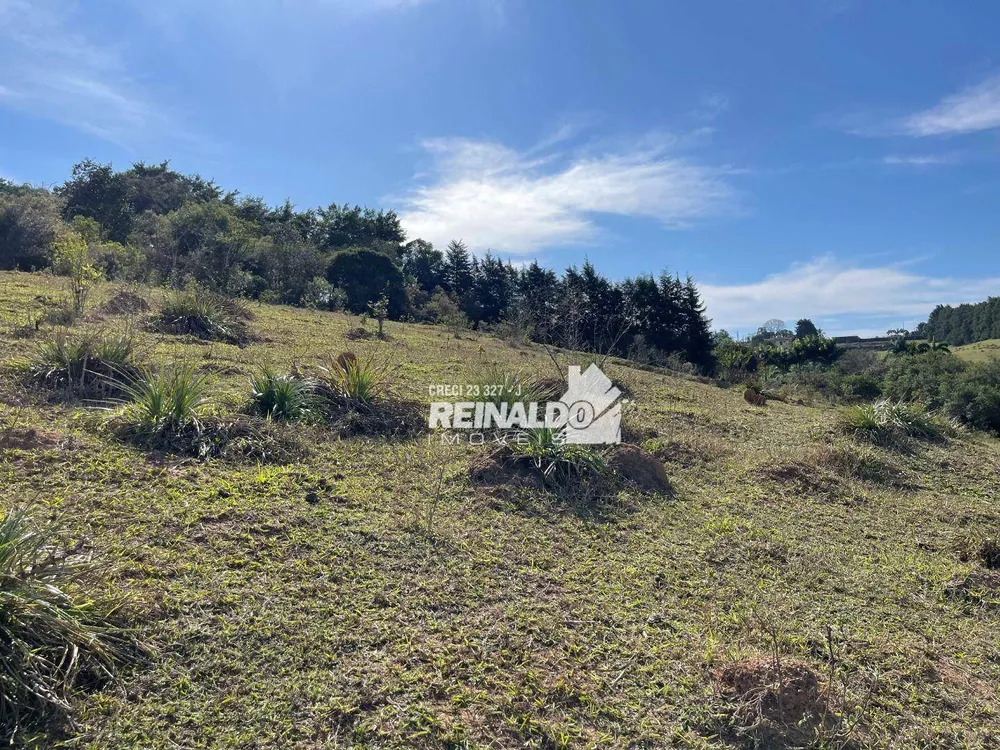 Terreno, 3 hectares - Foto 6