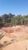 Chácara, 3 quartos, 1050 m² - Foto 4