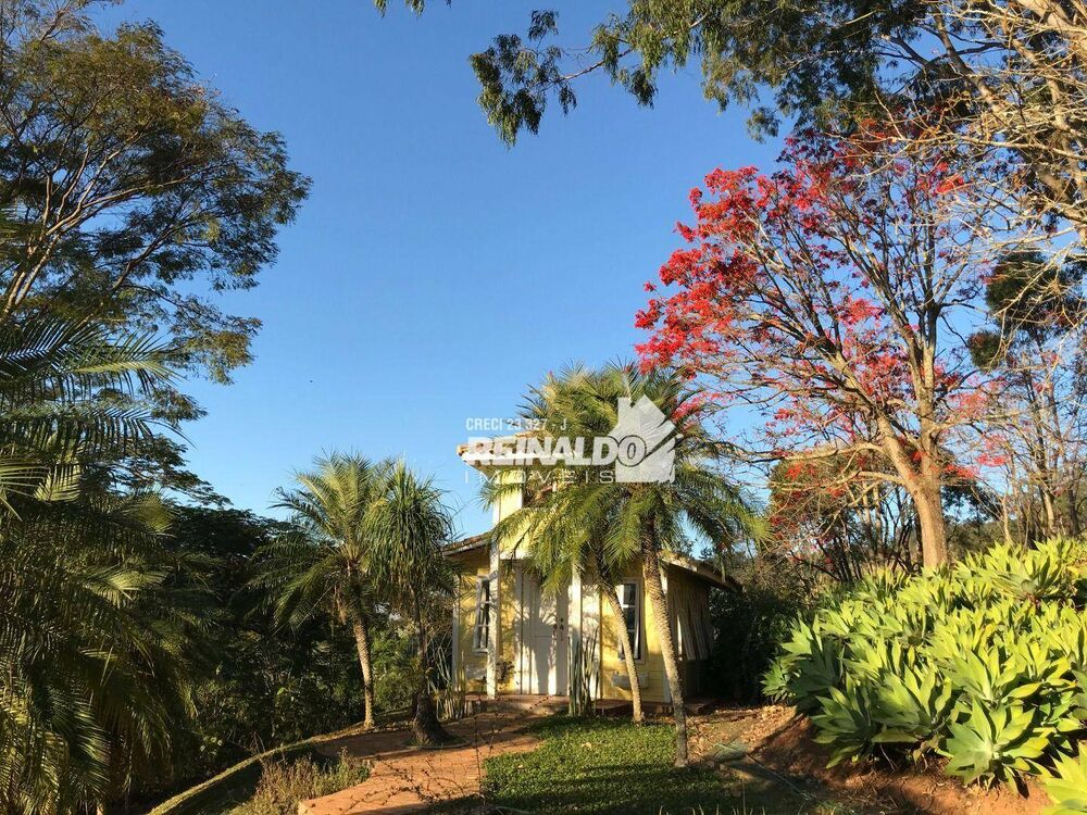 Sítio, 6 quartos, 31 hectares - Foto 3