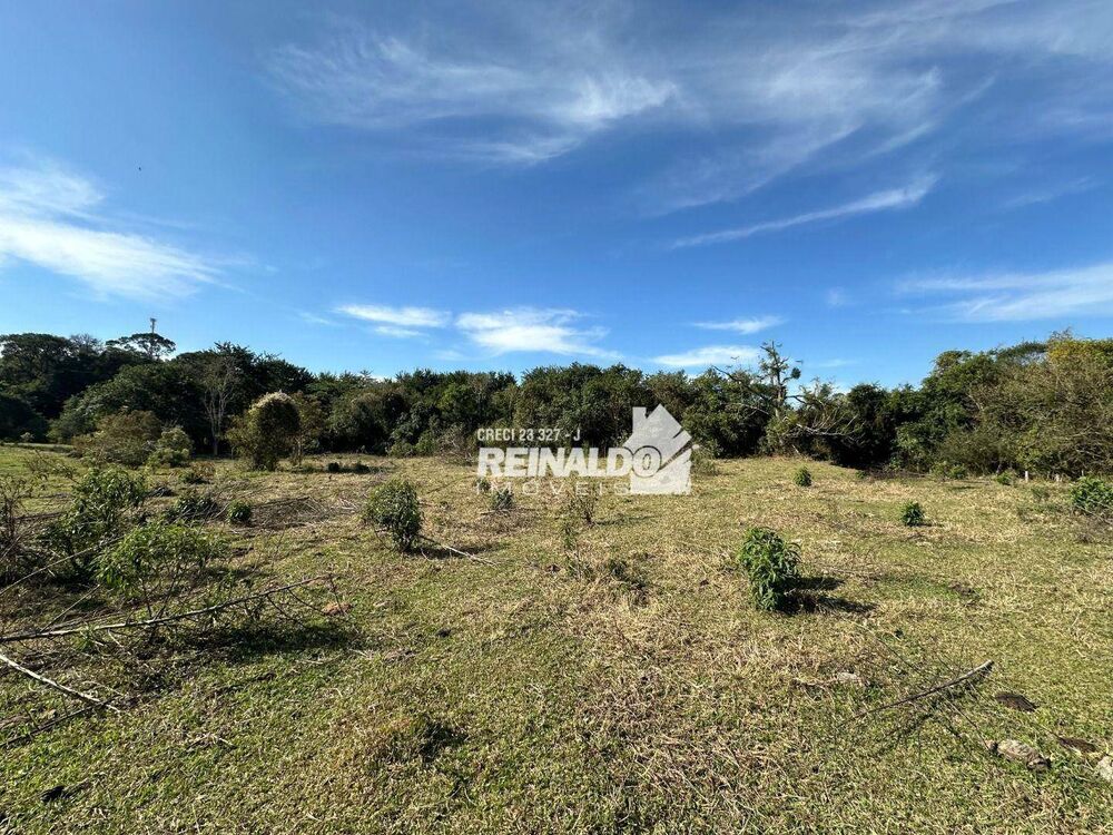 Sítio à venda com 2 quartos, 200m² - Foto 3