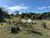 Sítio, 2 quartos, 6 hectares - Foto 1