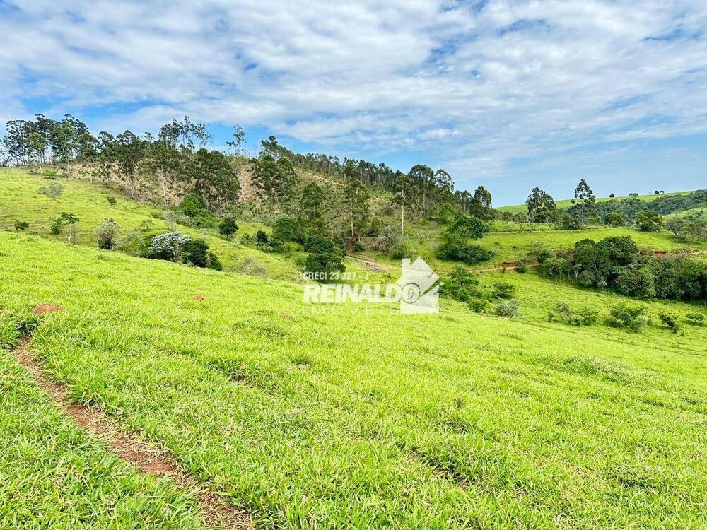 Fazenda à venda com 8 quartos, 950m² - Foto 3
