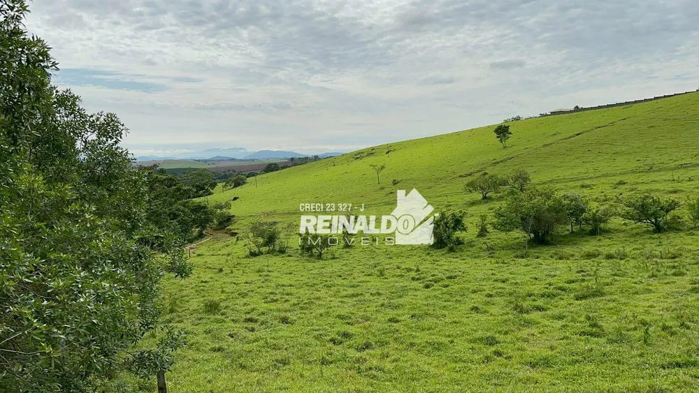 Fazenda, 58 hectares - Foto 8