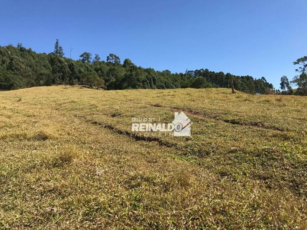 Fazenda, 58 hectares - Foto 14
