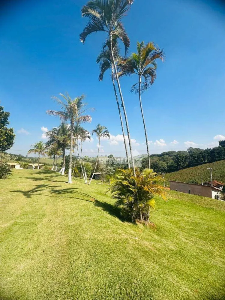 Chácara, 3 quartos, 2 hectares - Foto 3