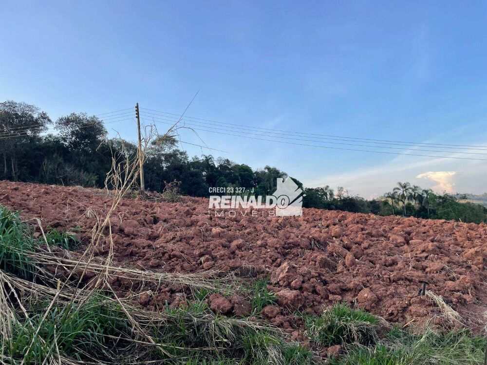Sítio, 3 quartos, 17 hectares - Foto 8