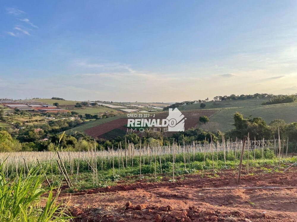 Sítio, 3 quartos, 17 hectares - Foto 14