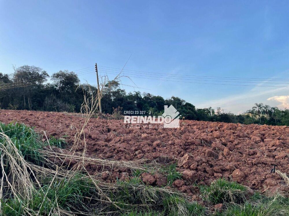Sítio, 3 quartos, 17 hectares - Foto 19