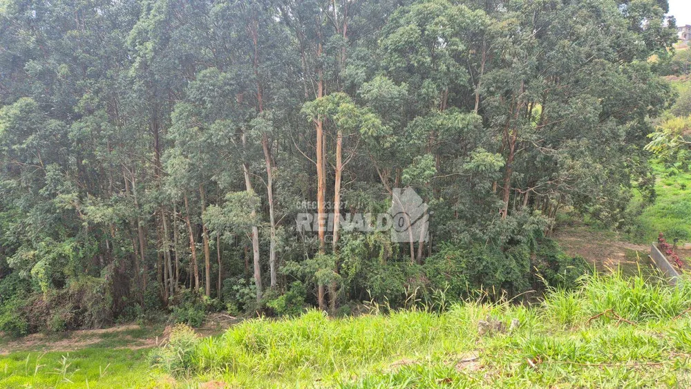Loteamento e Condomínio, 1100 m² - Foto 2