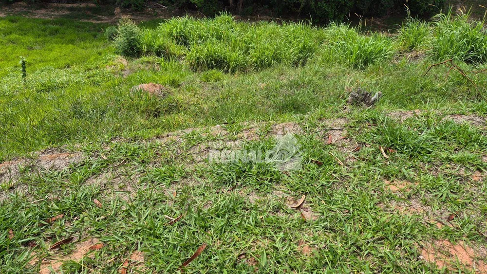 Loteamento e Condomínio, 1100 m² - Foto 4