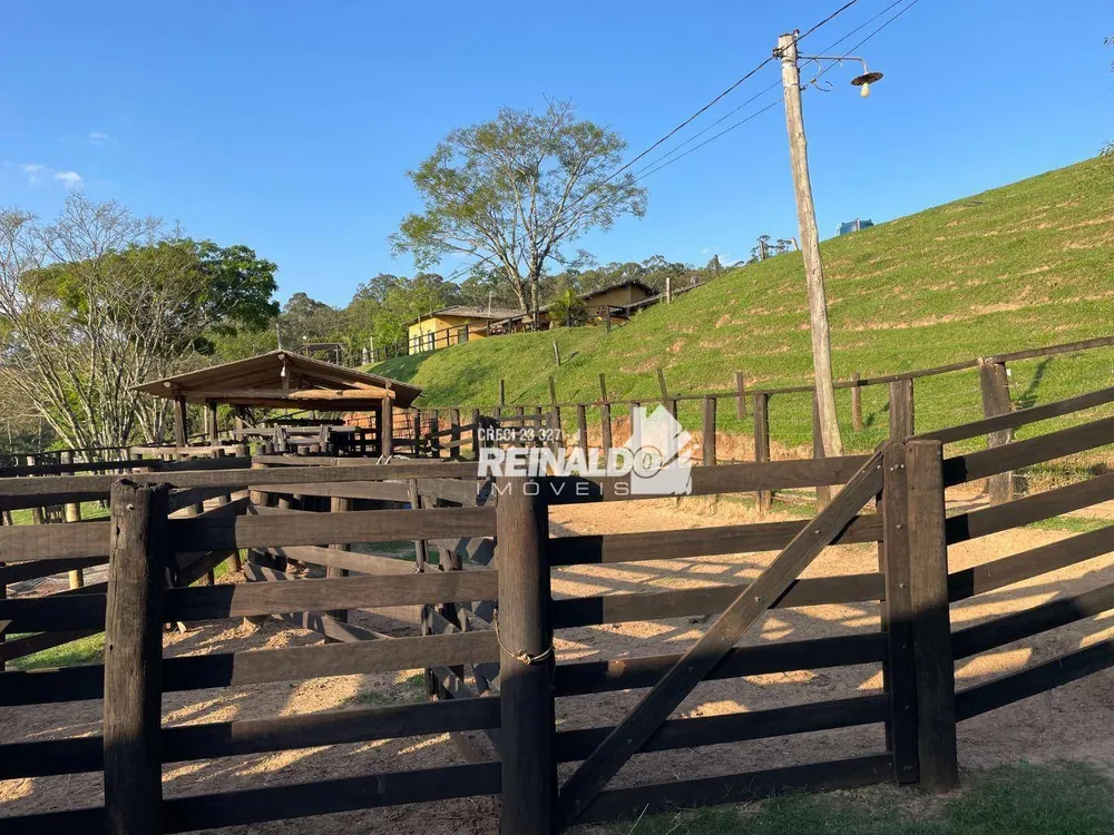 Fazenda, 24 hectares - Foto 23