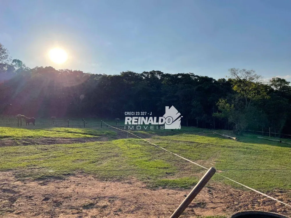 Fazenda, 24 hectares - Foto 22