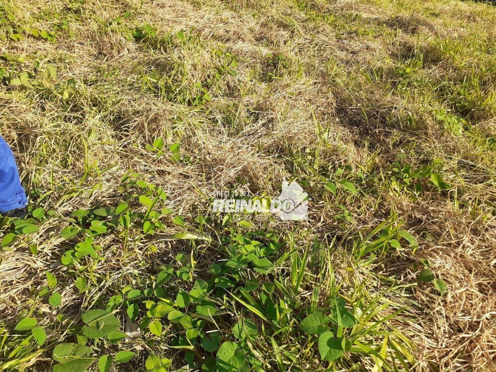 Loteamento e Condomínio, 504 m² - Foto 11
