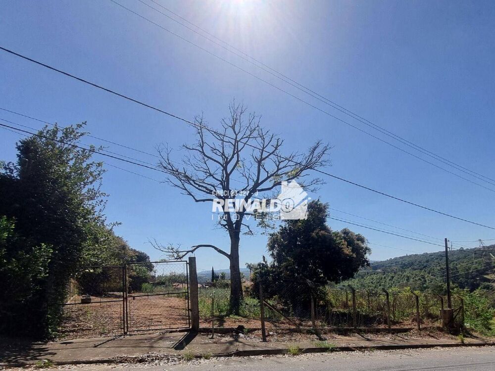 Terreno, 1036 m² - Foto 4