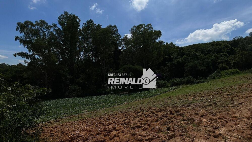 Sítio, 2 quartos, 8 hectares - Foto 11