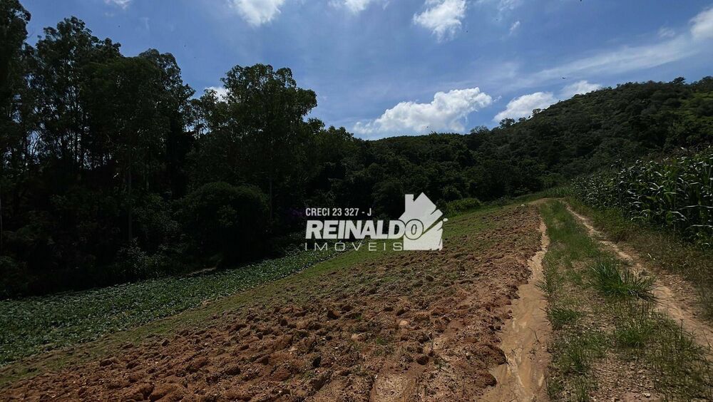 Sítio, 2 quartos, 8 hectares - Foto 10