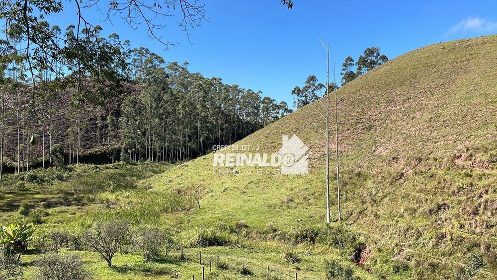 Fazenda à venda com 8 quartos, 900m² - Foto 6