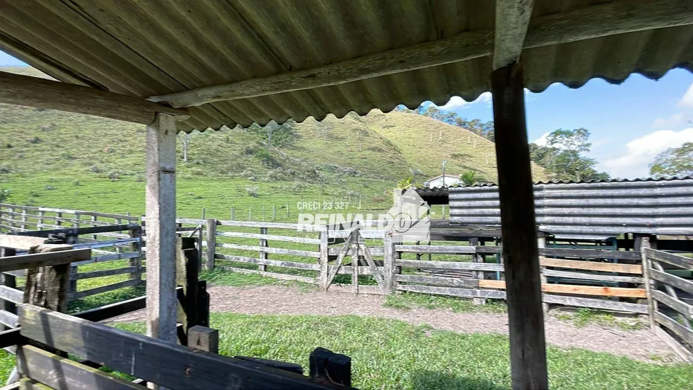 Fazenda, 290 hectares - Foto 14