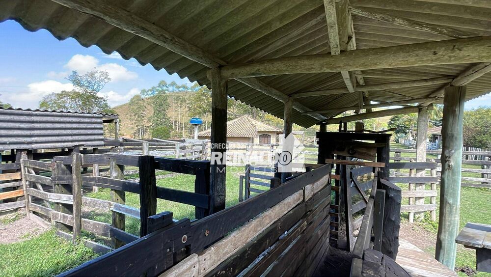 Fazenda à venda com 8 quartos, 900m² - Foto 11