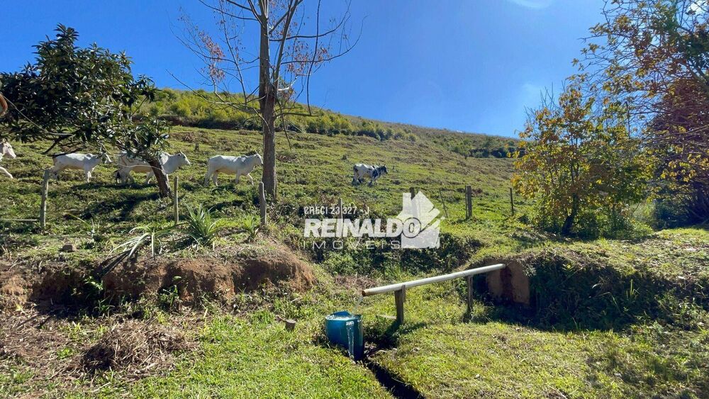 Fazenda à venda com 8 quartos, 900m² - Foto 3