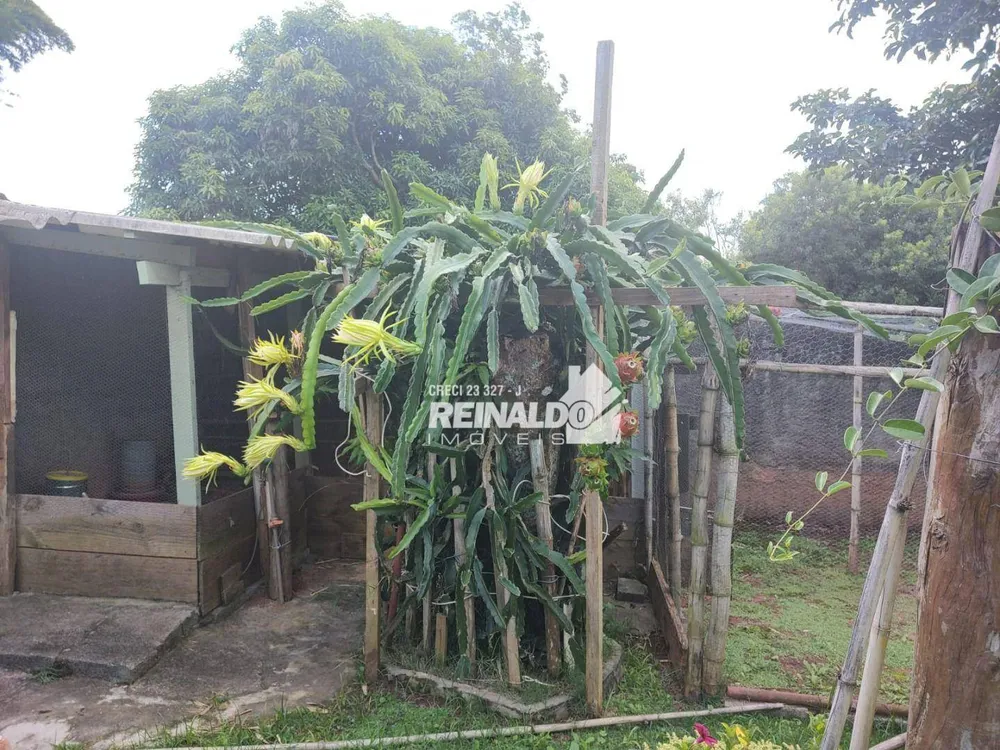 Chácara, 4 quartos, 1000 m² - Foto 1