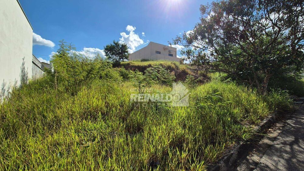 Terreno, 250 m² - Foto 2