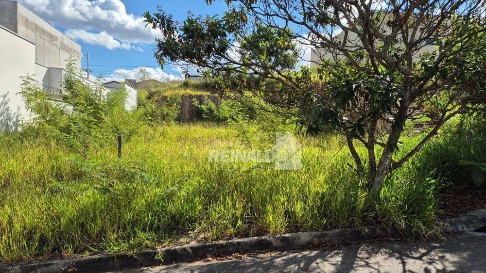Terreno, 250 m² - Foto 1