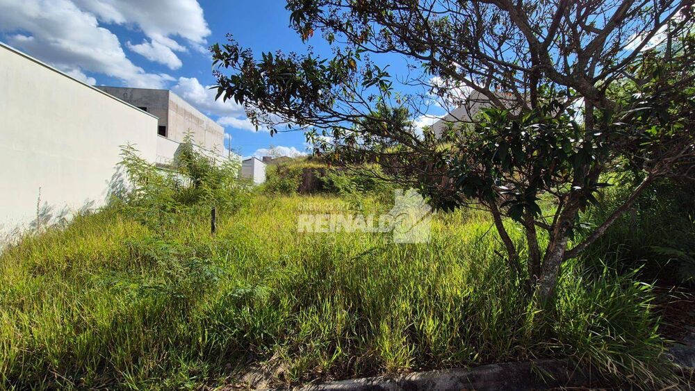 Terreno, 250 m² - Foto 4