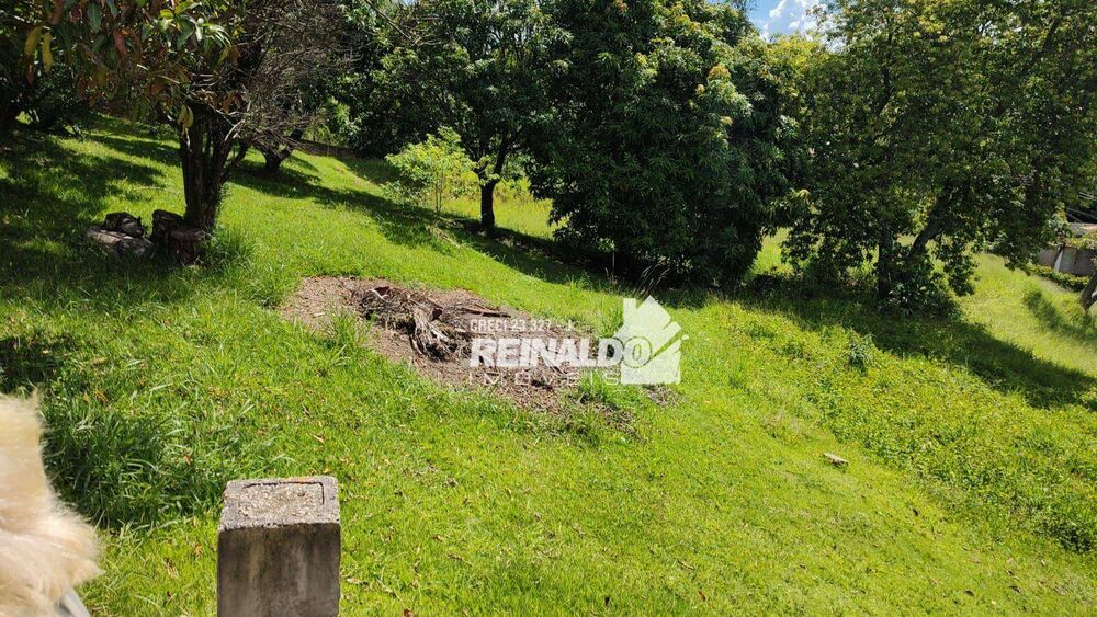 Terreno, 1000 m² - Foto 5