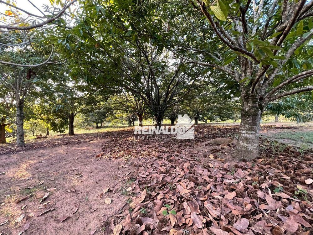Sítio, 2 quartos, 5 hectares - Foto 8