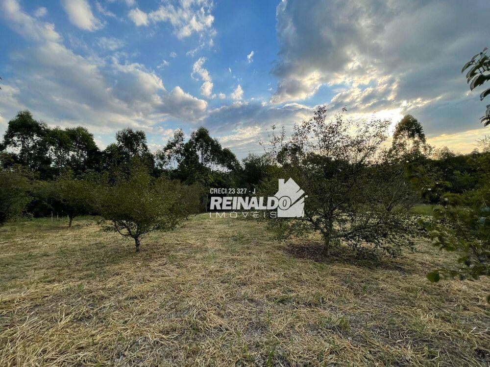 Sítio, 2 quartos, 5 hectares - Foto 10