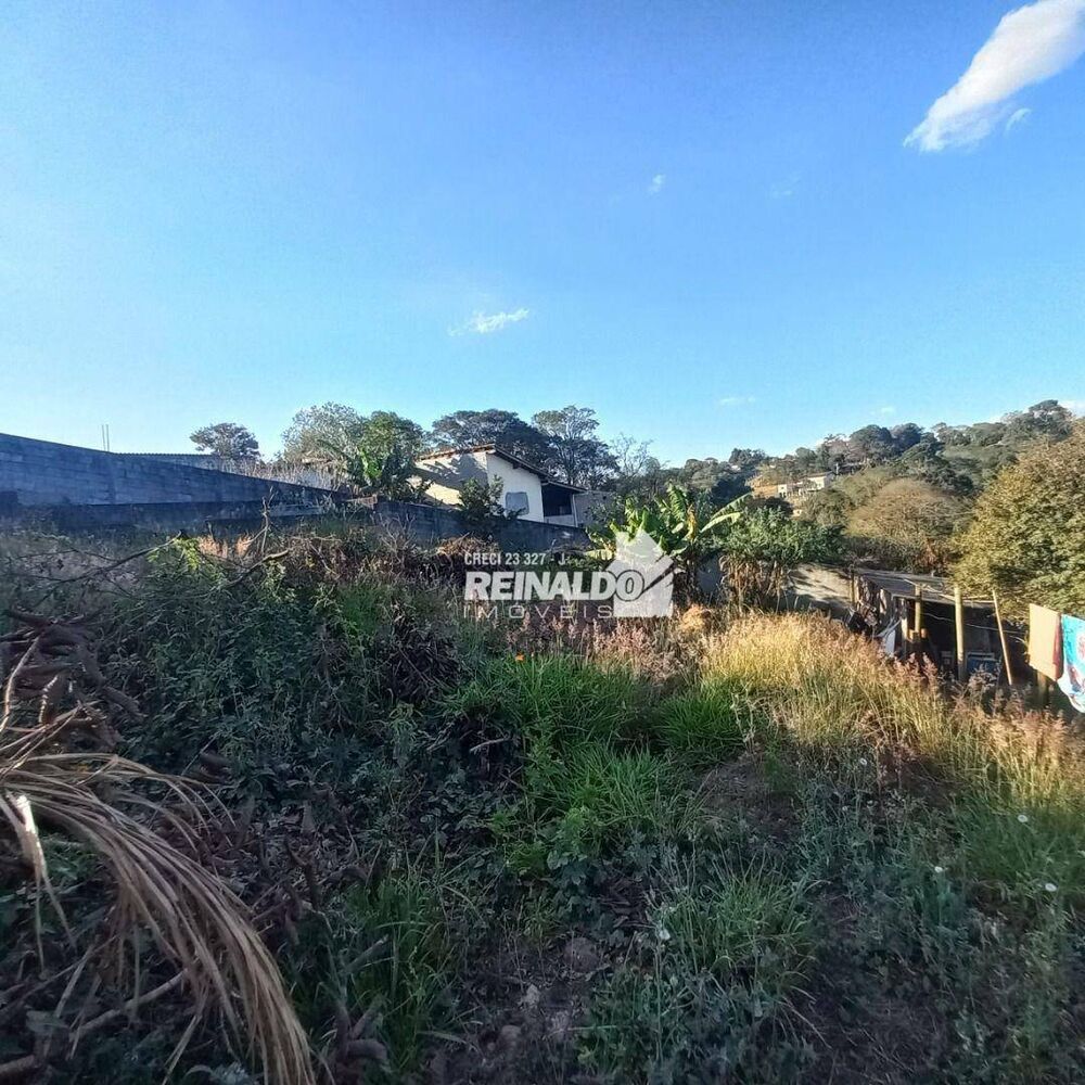 Chácara, 2 quartos, 1025 m² - Foto 2