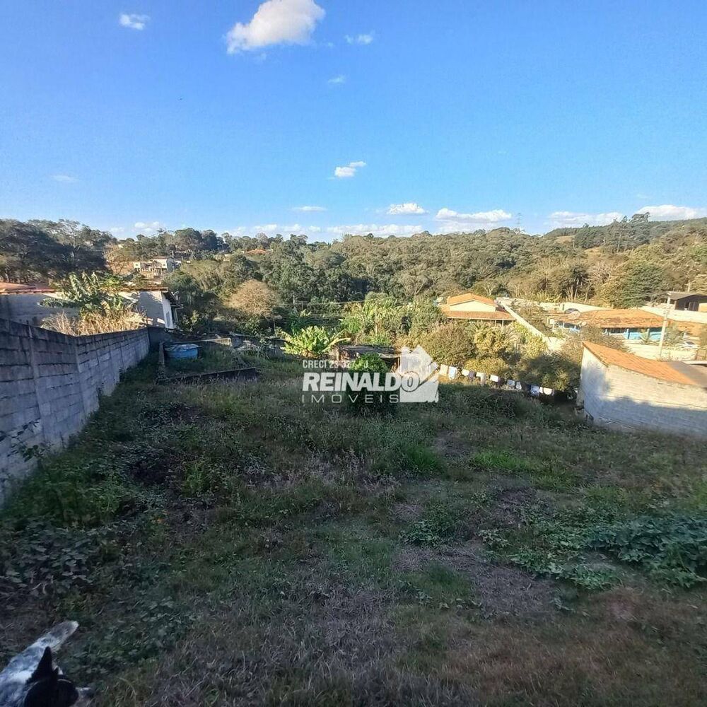 Chácara, 2 quartos, 1025 m² - Foto 4