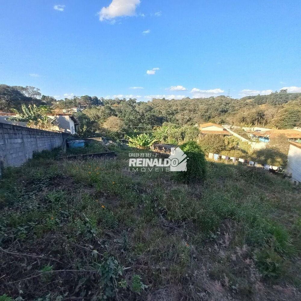 Chácara, 2 quartos, 1025 m² - Foto 3