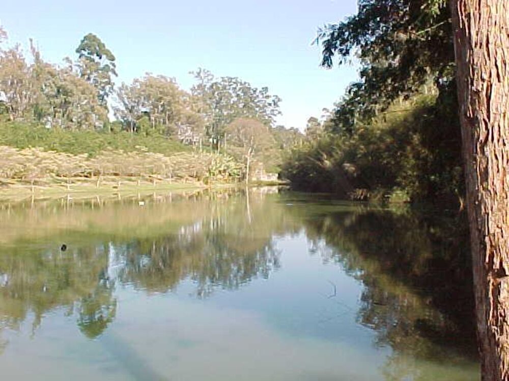 Casa de Condomínio, 4 quartos - Foto 17