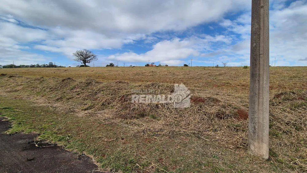 Loteamento e Condomínio, 1000 m² - Foto 3