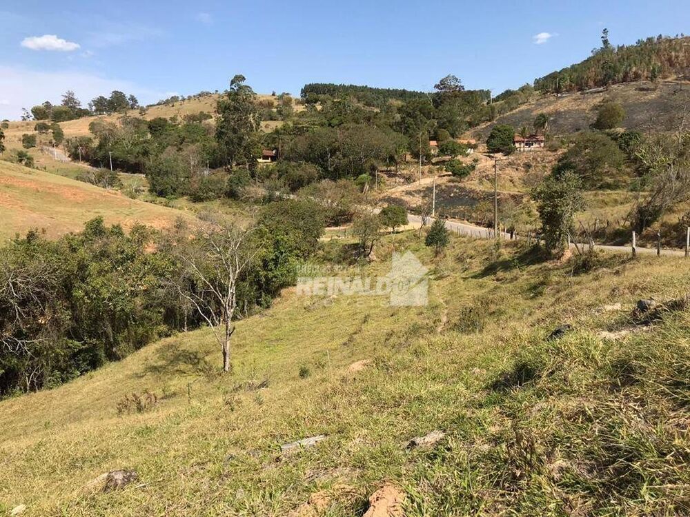 Terreno, 2 hectares - Foto 2