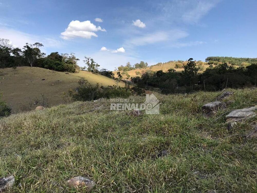 Terreno, 2 hectares - Foto 4