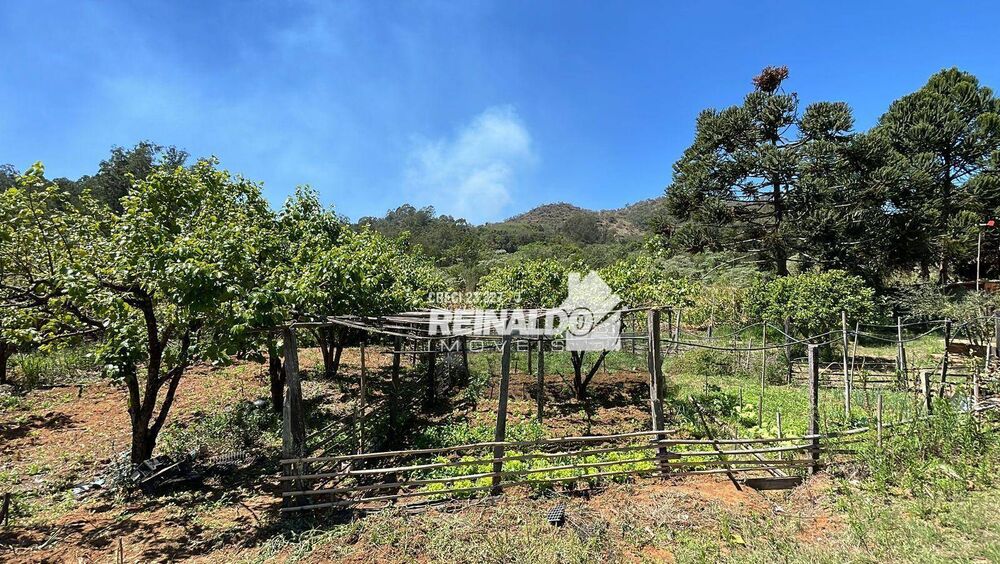 Sítio à venda com 2 quartos, 200m² - Foto 15
