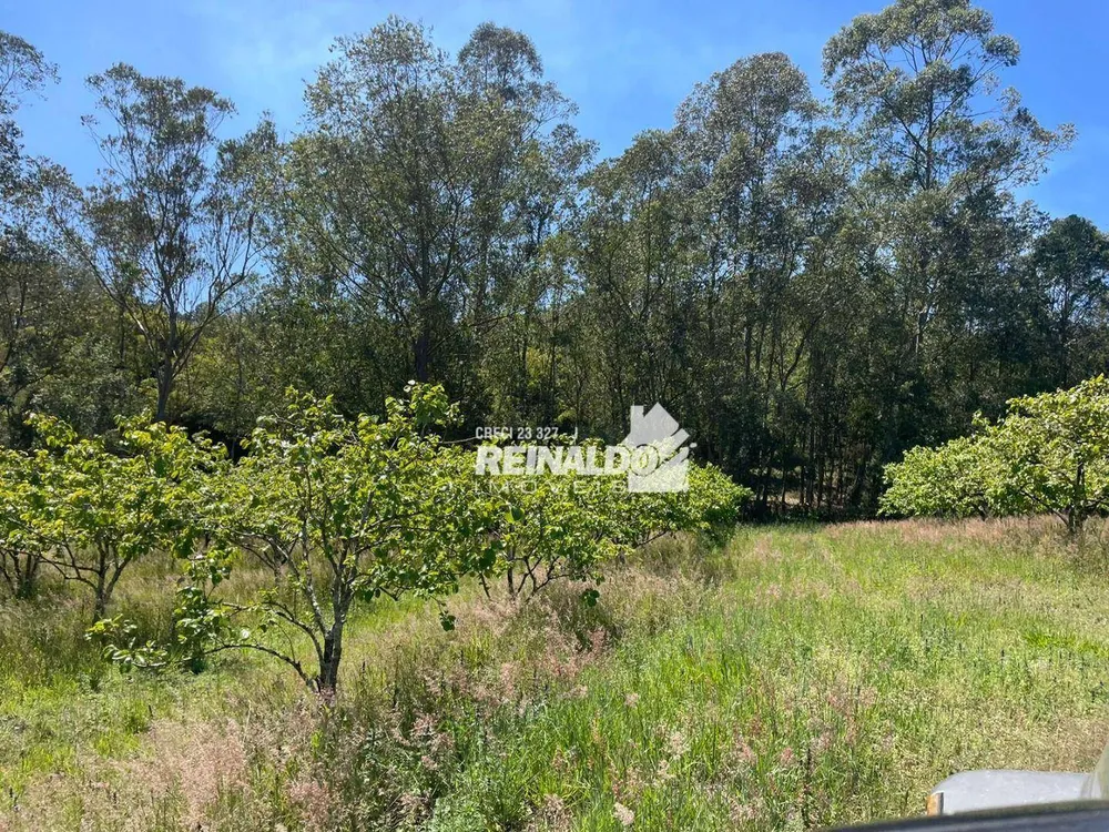 Sítio, 2 quartos, 10 hectares - Foto 3