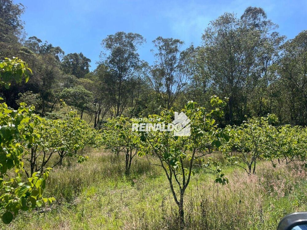Sítio à venda com 2 quartos, 200m² - Foto 2