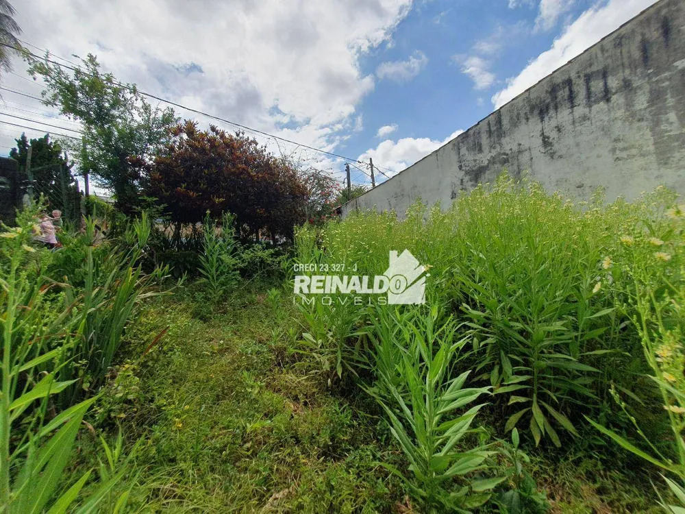 Terreno, 250 m² - Foto 4