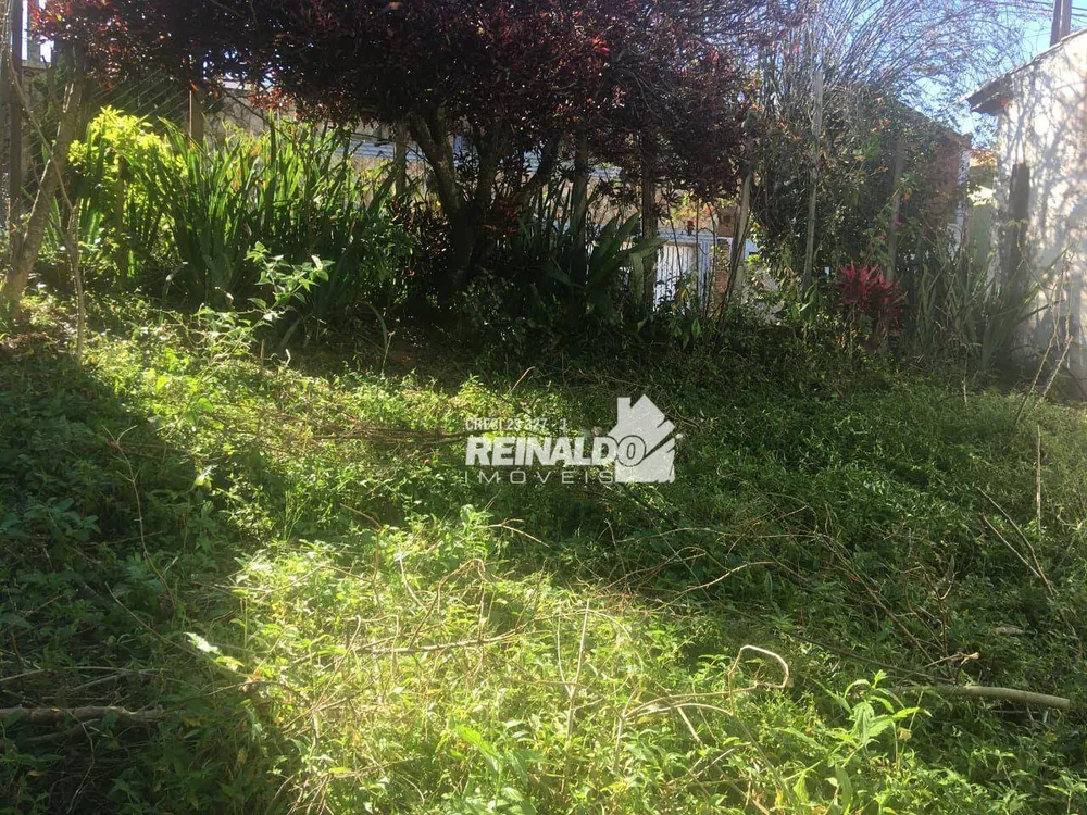 Terreno, 250 m² - Foto 6