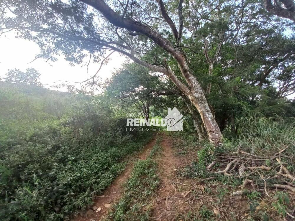 Terreno à venda, 145200M2 - Foto 12
