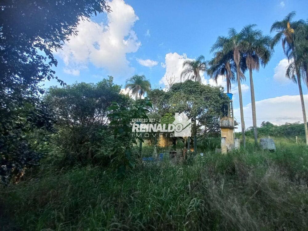 Terreno à venda, 145200M2 - Foto 5