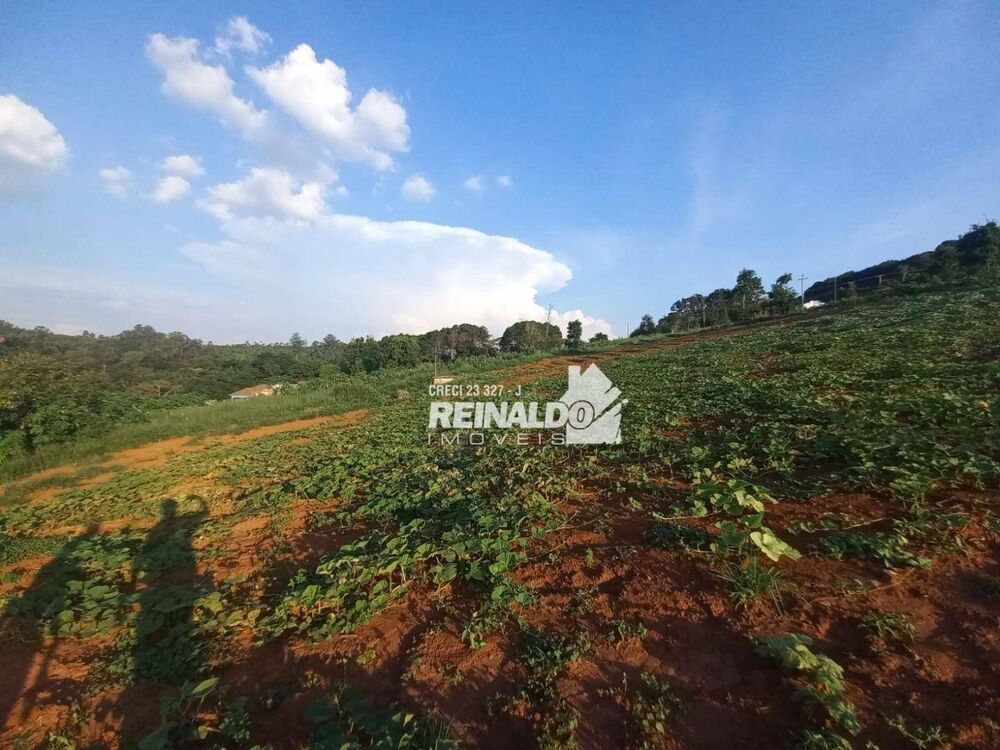 Terreno à venda, 145200M2 - Foto 3