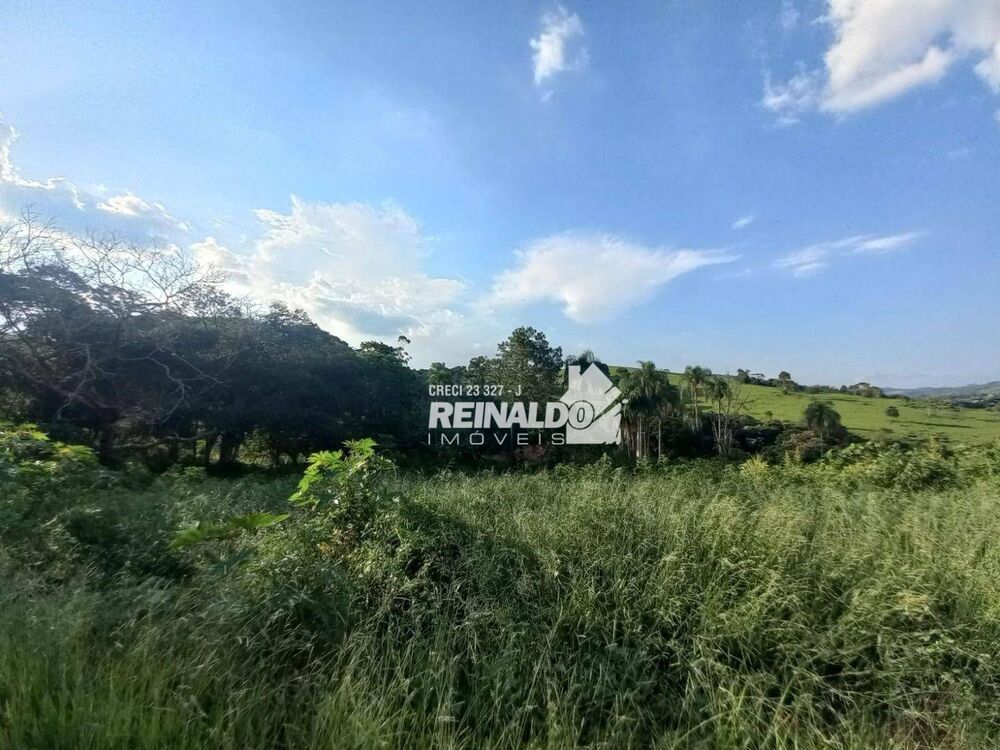 Terreno à venda, 145200M2 - Foto 14