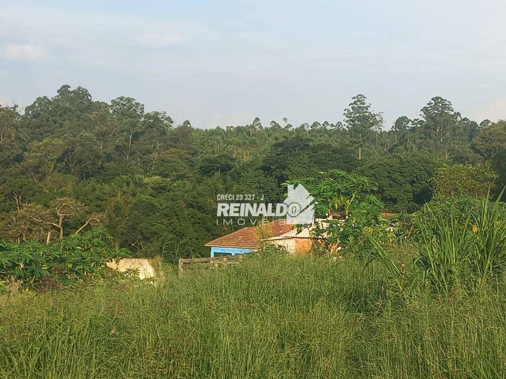 Terreno à venda, 145200M2 - Foto 1