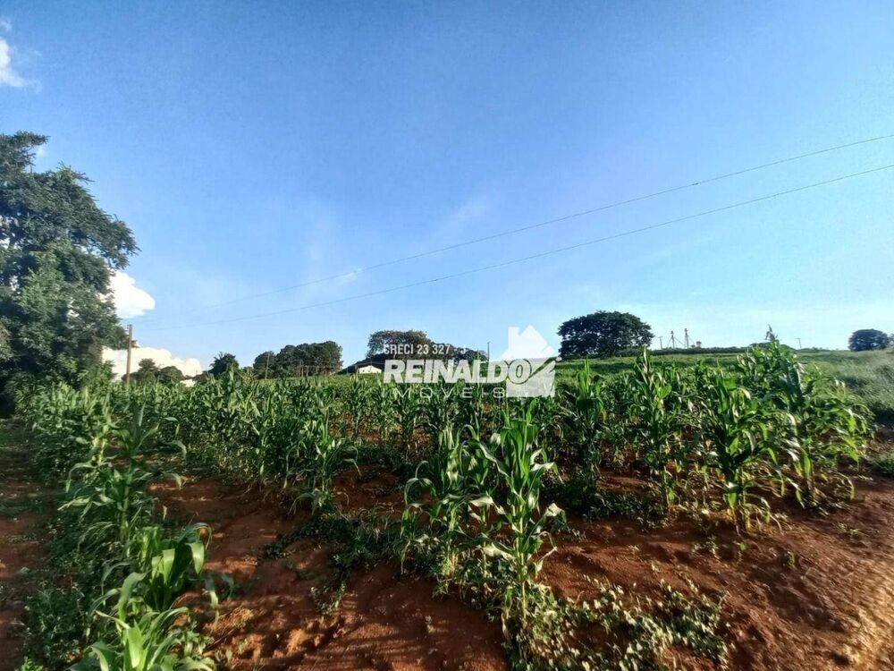 Terreno à venda, 145200M2 - Foto 2
