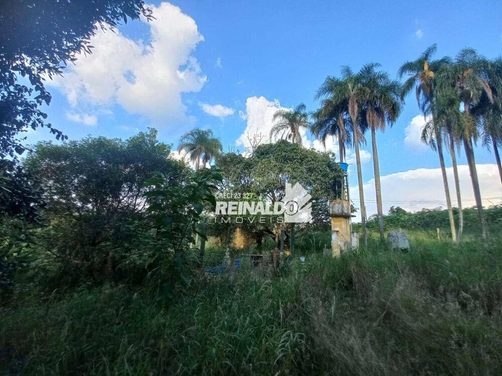Terreno à venda, 145200M2 - Foto 4